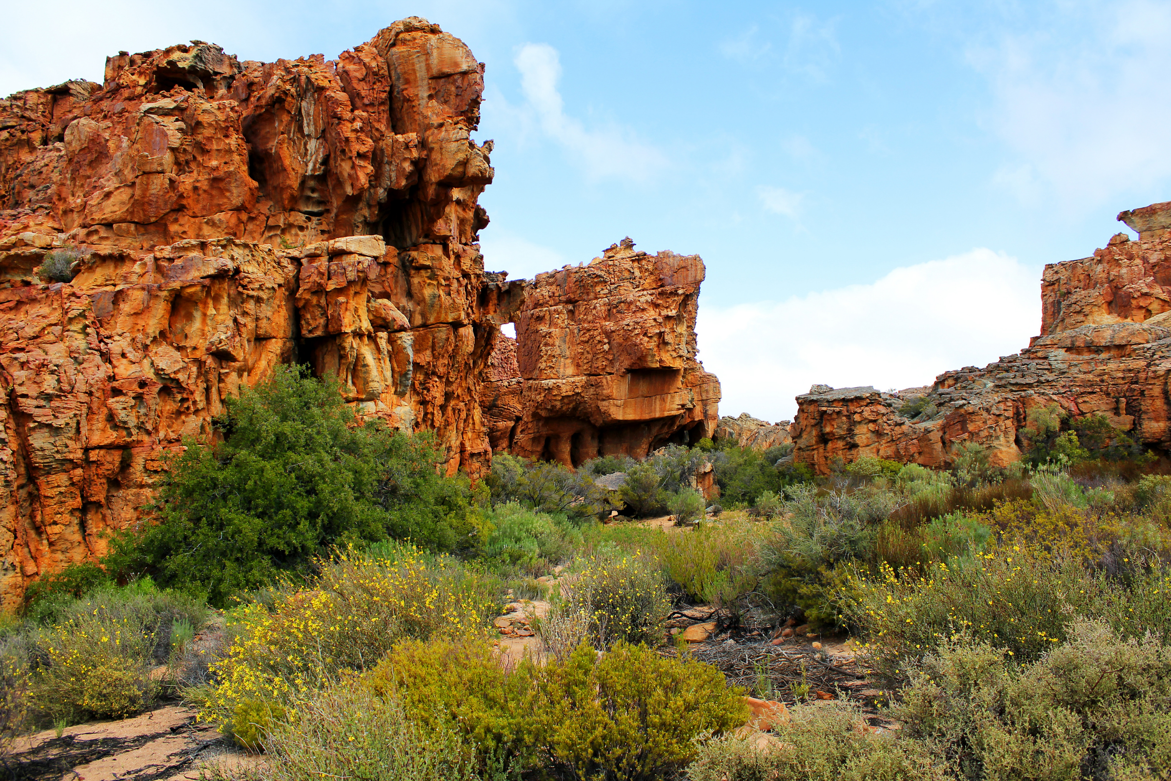 cederberg (3).webp